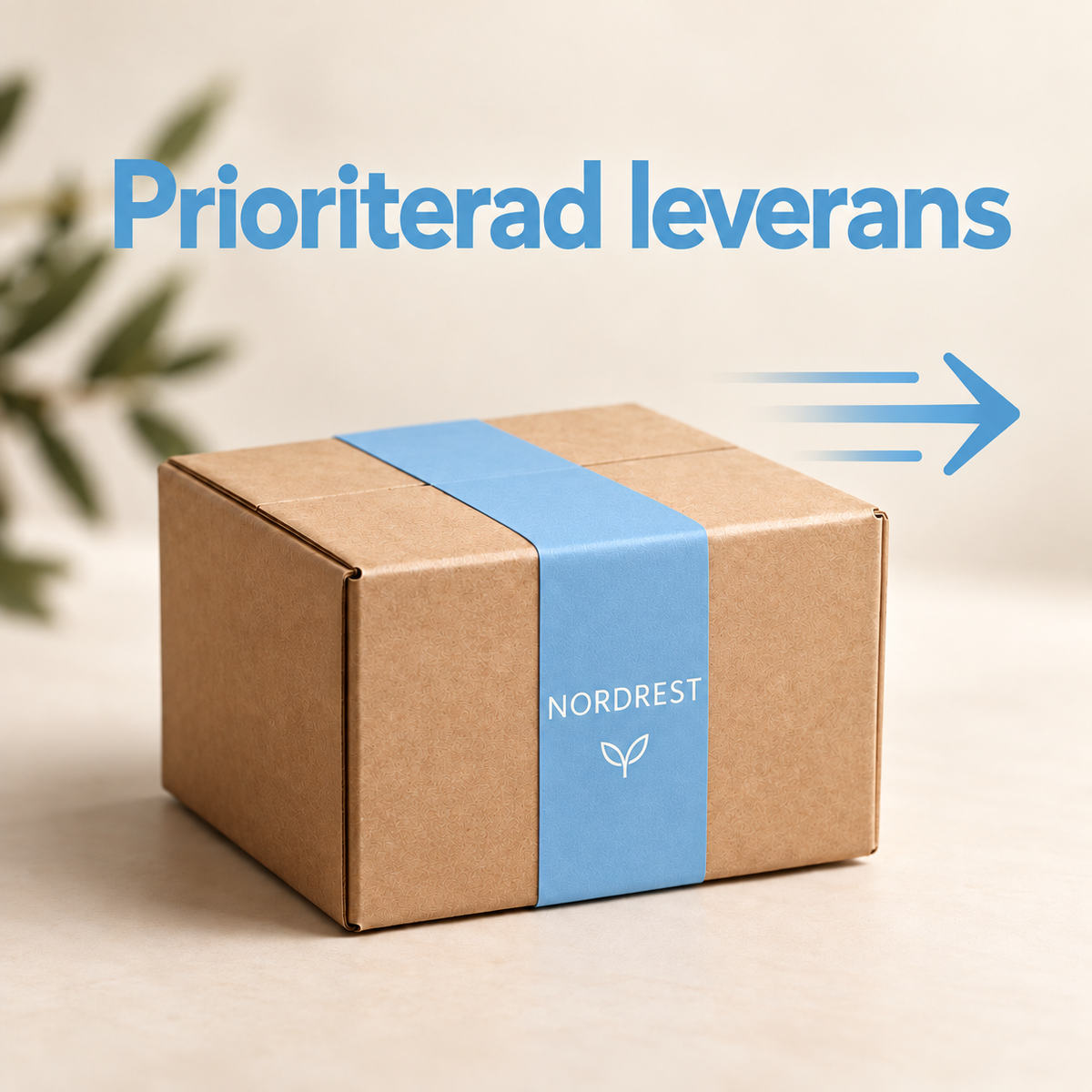 Prioriterad leverans